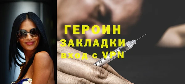 крисы Бородино