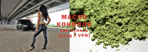 крисы Бородино