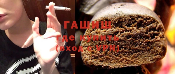 крисы Бородино