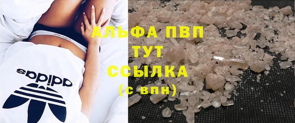 крисы Бородино