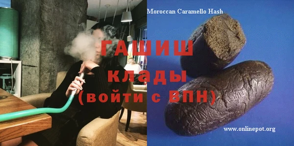 крисы Бородино