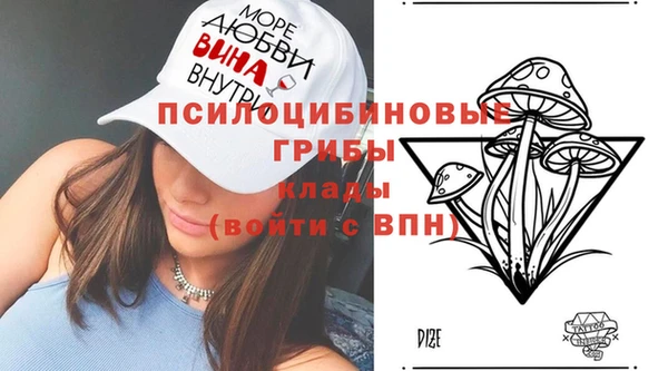 шишки Сосновоборск