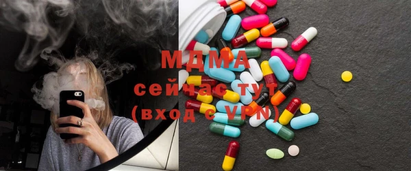 крисы Бородино