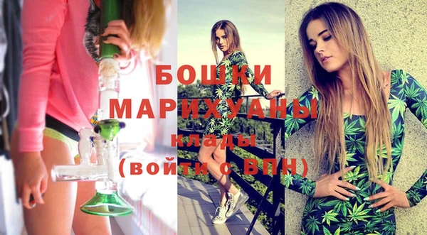 МДПВ Бронницы