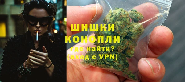 крисы Бородино