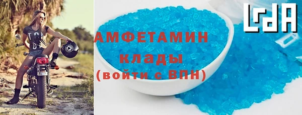 крисы Бородино